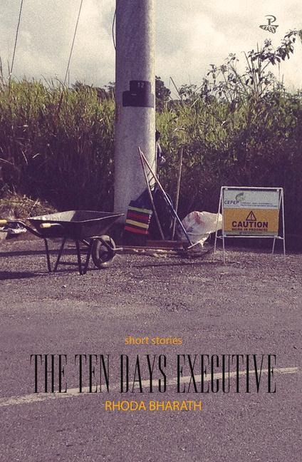 The Ten Days Executive: Short Stories