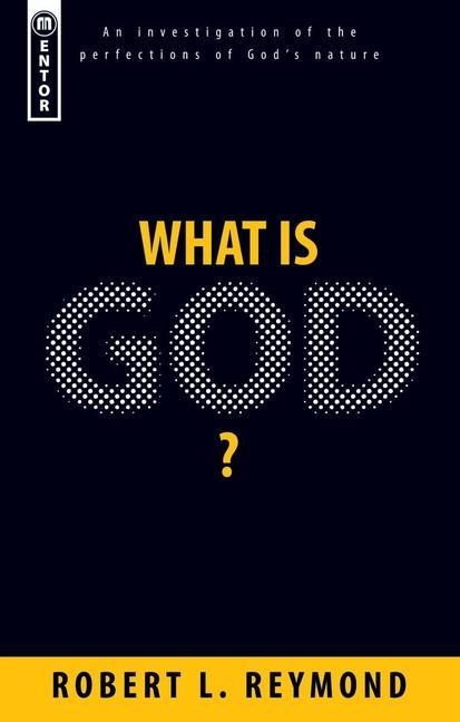 What Is God?: An Investigation of the Perfections of Gods Nature