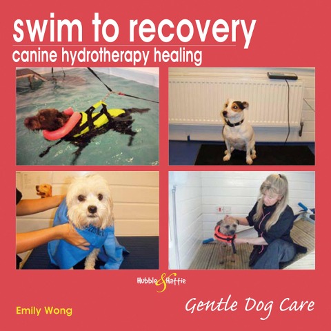 Swim to Recovery: Canine Hydrotherapy Healing: Gentle Dog Care