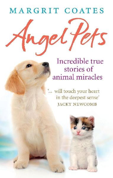 Angel Pets