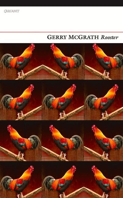 Rooster