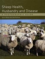 Sheep Health, Husbandry and Disease: A Photographic Guide