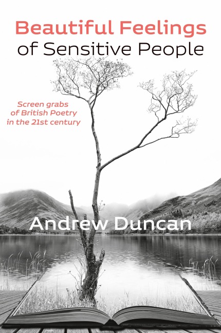 Beautiful Feelings of Sensitive People: Screen grabs of British Poetry in the 21st century