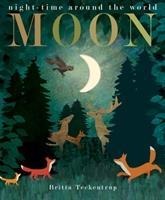 Moon: night-time around the world