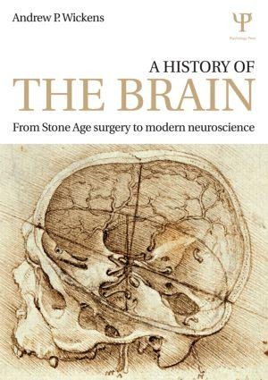 A History of the Brain: From Stone Age Surgery to Modern Neuroscience