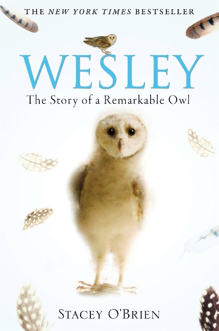 Wesley: The Story of a Remarkable Owl