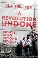 A Revolution Undone: Egypts Road Beyond Revolt