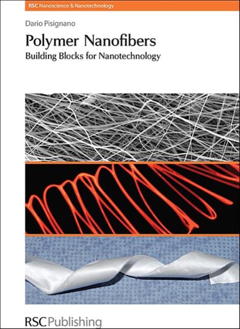 Polymer Nanofibers: Building Blocks for Nanotechnology