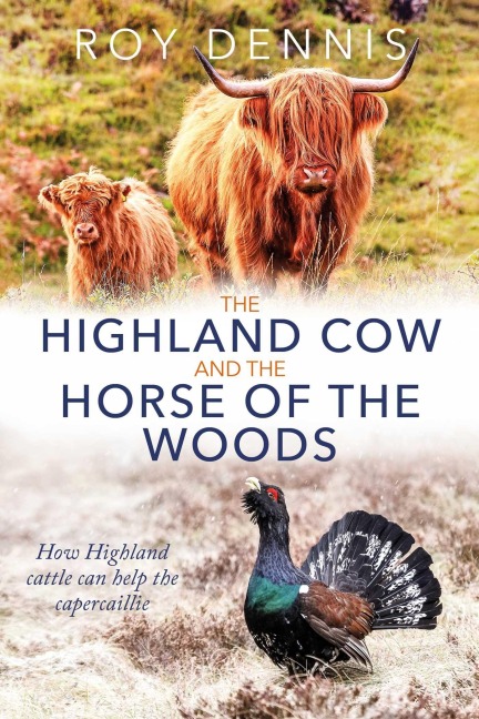 Highland Cow & the Horse of the Woods: How Highland cattle can help save the capercaillie