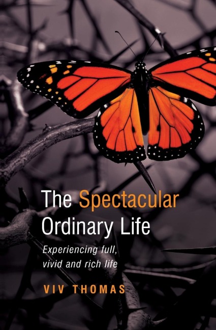 The Spectacular Ordinary Life: Experiencing full, vivid and rich life
