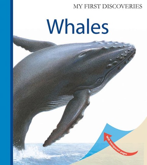 Whales