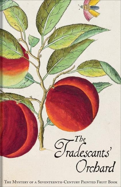 The Tradescants Orchard: The Mystery of a Seventeenth-Century Painted Fruit Book