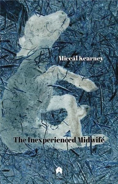 The Inexperienced Midwife
