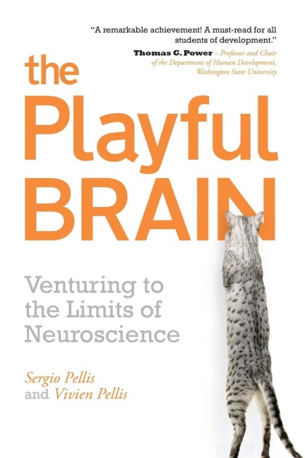 Playful Brain: Venturing to the Limits of Neuroscience