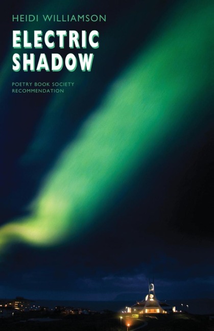 Electric Shadow