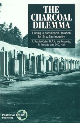 The Charcoal Dilemma: Finding a sustainable solution for Brazilian industry
