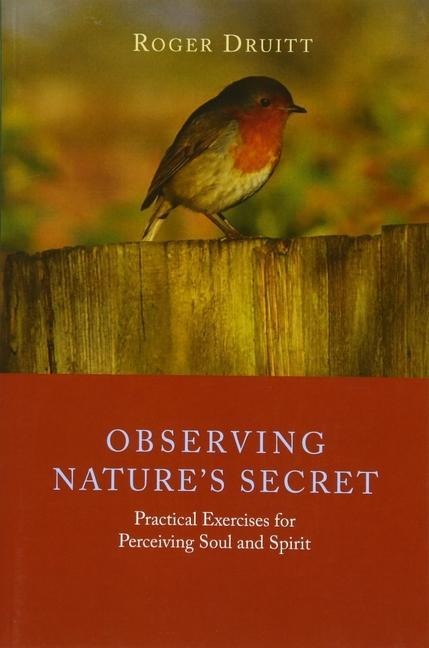 Observing Natures Secret: Practical Exercises for Perceiving Soul and Spirit
