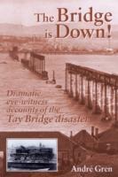 The Bridge is Down!: Dramatic Eye-Witness Accounts of the Tay Bridge Disaster 28 December 1879