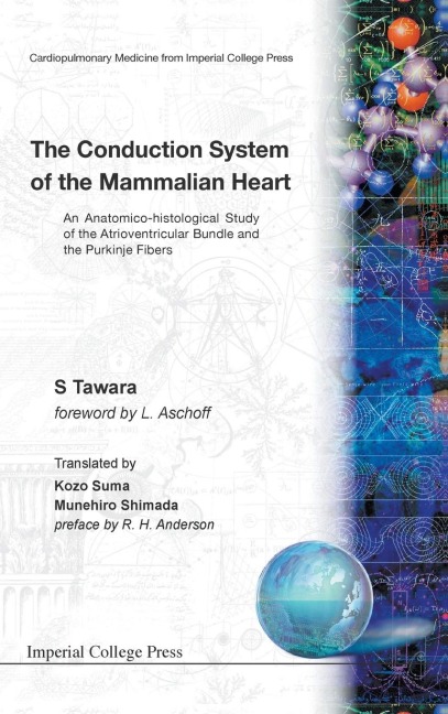 CONDUCTION SYSTEM OF THE MAMMALIAN...