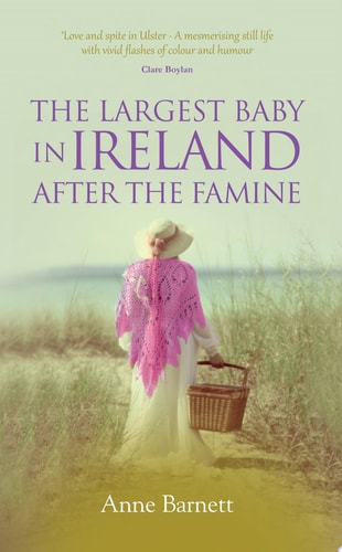 The Largest Baby in Ireland after the Famine ‘Love and spite in Ulster - A mesmerising still life with vivid flashes of colour and humour