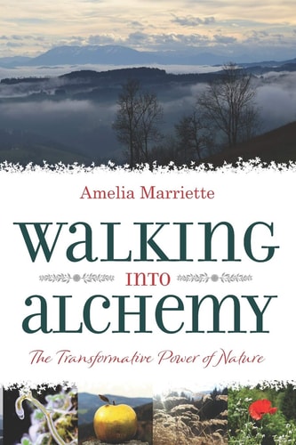 Walking Into Alchemy The Transformative Power of Nature
