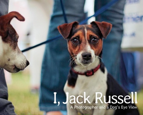 I, Jack Russell: A Photographer and a Dogs Eye View