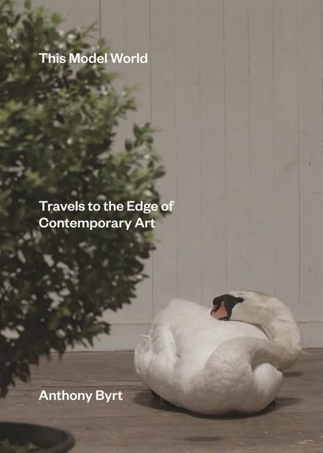 This Model World: Travels to the Edge of Contemporary Art
