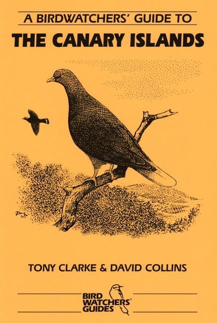 A Birdwatchers Guide to the Canary Islands: Site Guide