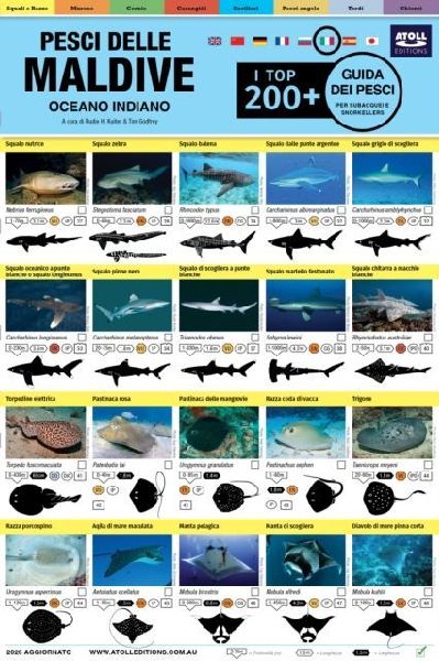 Maldive Guida Dei Pesci: I Top 200+ (Italian)
