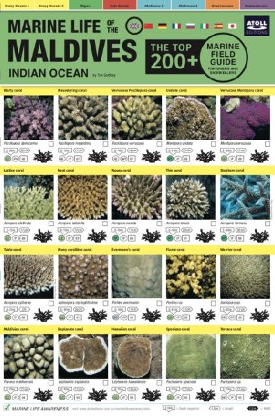 Maldives Marine Life Field Guide: "Top 200+"