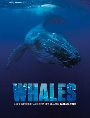 Whales and Dolphins of Aotearoa New Zealand