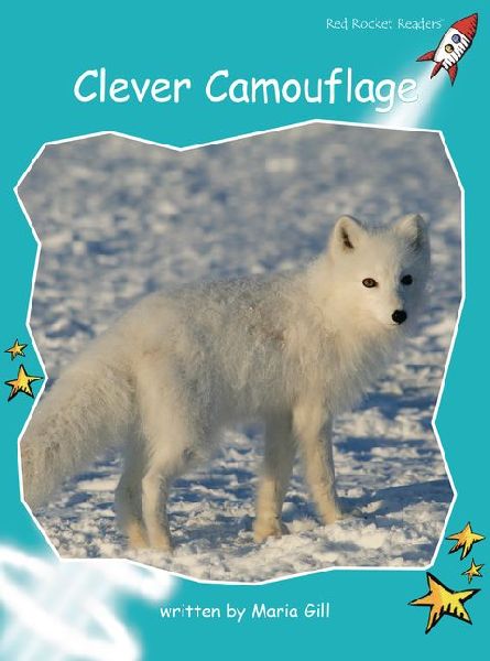 Clever Camouflage