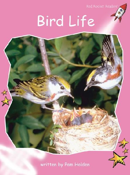 Bird Life