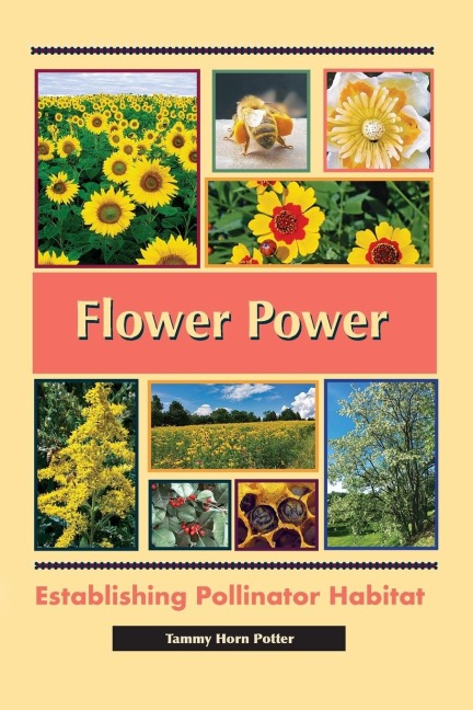 Flower Power: Establishing Pollinator Habitat