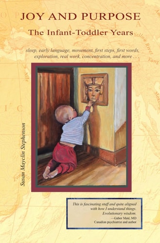 Joy and Purpose, the Infant-Toddler Years