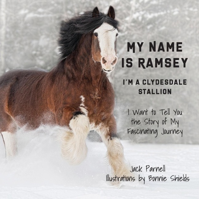 My Name is Ramsey: Im a Clydesdale Stallion