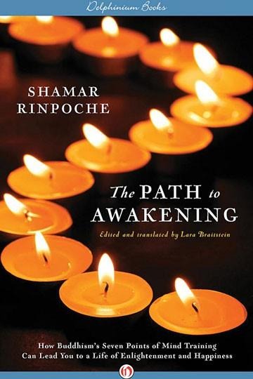 The Path to Awakening: How Buddhisms Seven Points of Mind Training Can Lead You to a Life of Enlightenment and Happiness