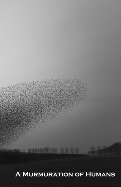 A Murmuration of Humans