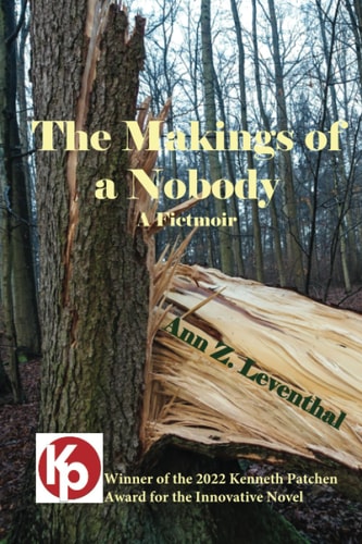 The Makings of a Nobody A Fictmoir