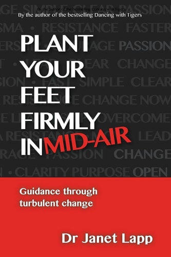 Plant Your Feet Firmly in Mid-Air Leading Through Turbulent Change