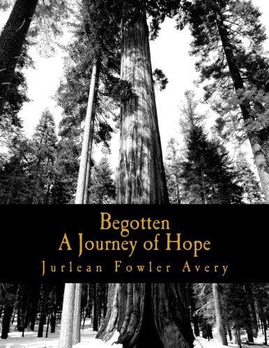 Begotten A Journey of Hope