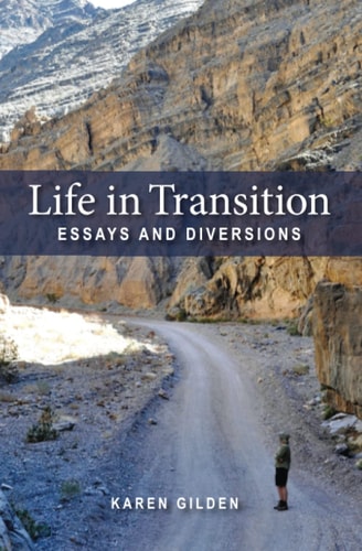 Life in Transition Essays and Diversions