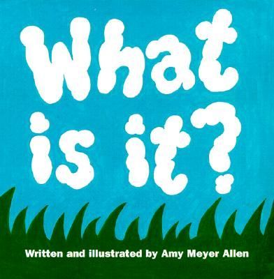 What Is It?