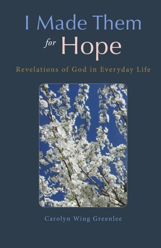 I Made Them for Hope Revelations of God in Everyday Life