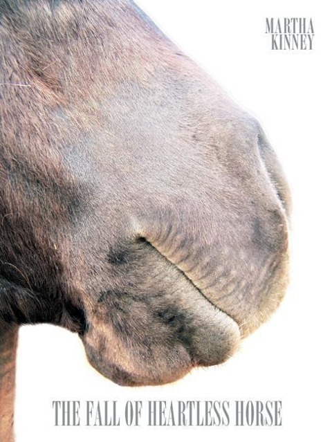 The Fall of Heartless Horse
