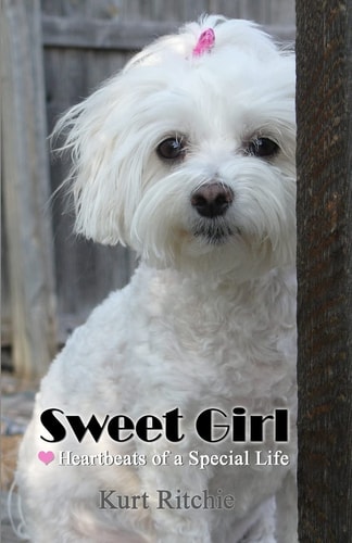 Sweet Girl Heartbeats of a Special Life