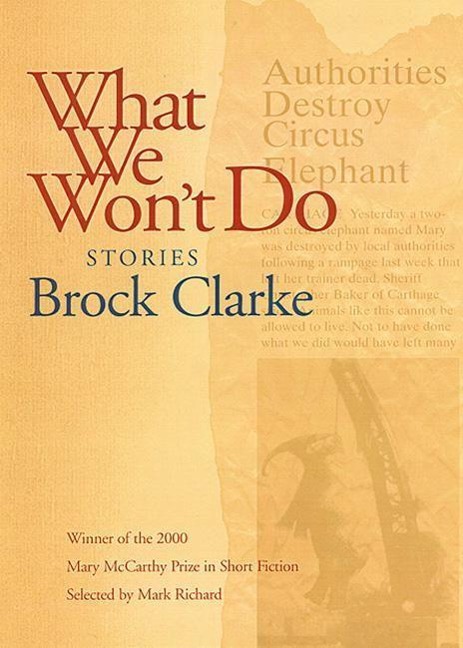 What We Wont Do: Stories