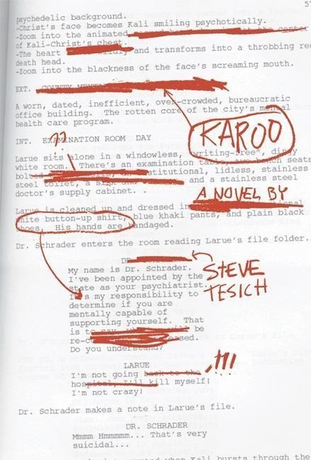 Karoo: A Novel