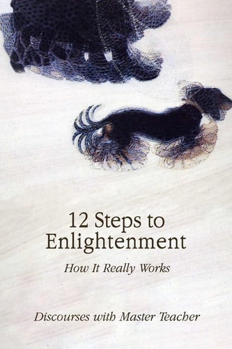 12 Steps to Enlightenement How It Really Works