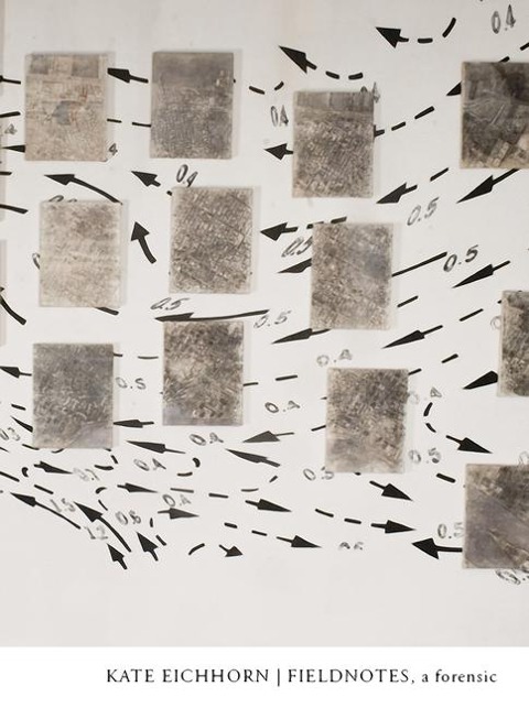 Fieldnotes, a Forensic